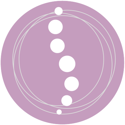 1080-SFT-PRATITIONER-FAVICON-01-RGB (1)