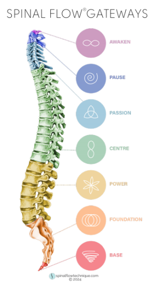 Spinal_Flow_Gateways_With_Lines_-_Transparent_PNG_A4