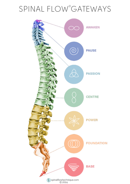 Spinal_Flow_Gateways_With_Lines_-_Transparent_PNG_A4 Spinal_Flow_Gateways_With_Lines_-_Transparent_PNG_A4